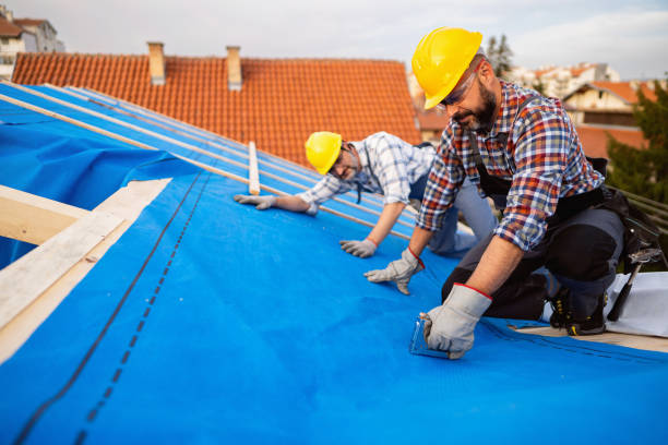 Professional Roofing Contractor in Springfield, OR