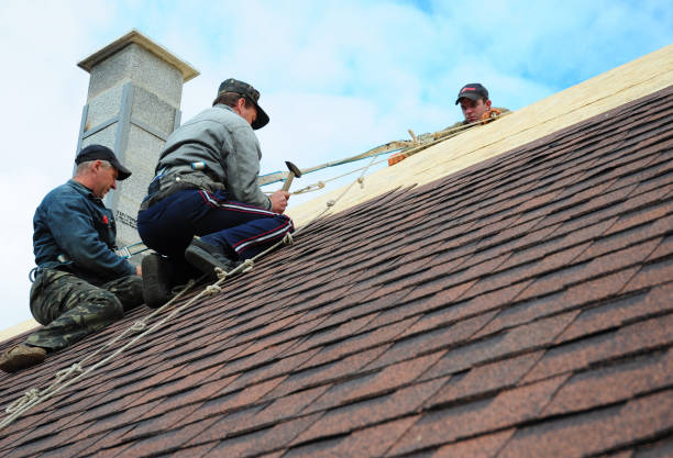 Best New Roof Installation  in Springfield, OR