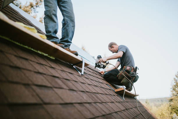 Best Metal Roofing Contractor  in Springfield, OR