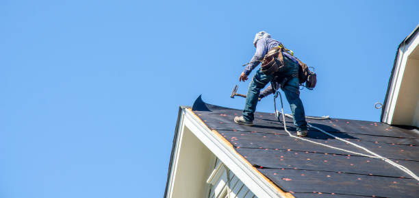 Best Roof Gutter Cleaning  in Springfield, OR